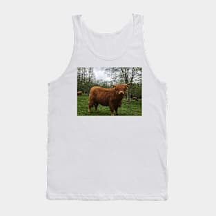 Scottish Highland Cattle Calf 2006 Tank Top